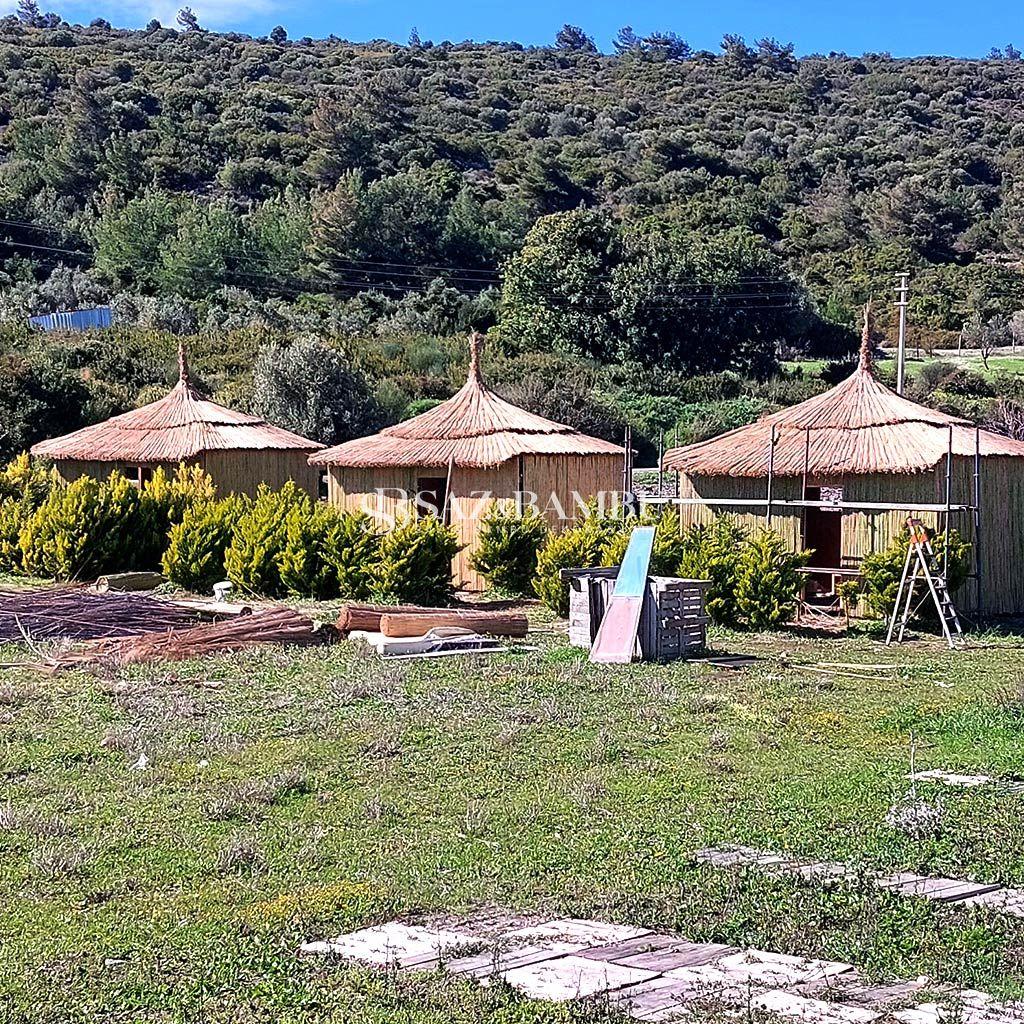 Saz ve Bambu Dekorasyon Önerileri