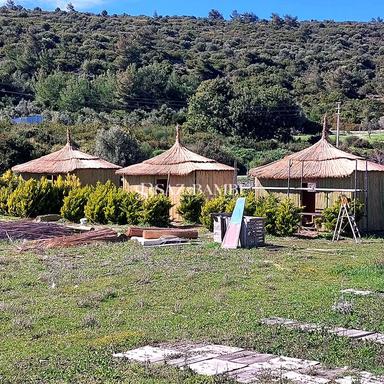 Saz ve Bambu Dekorasyon Önerileri