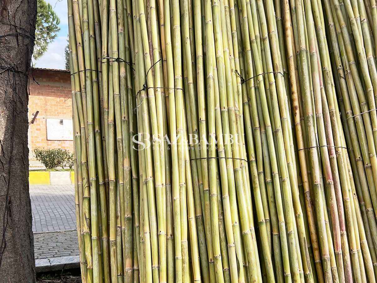 Bambu Dekorasyon